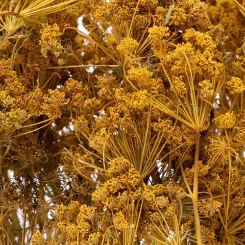 Artículo Ramo de flores secas con delicadas flores para decoración romántica vintage 55cm