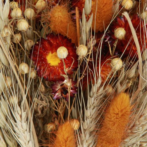 Artículo Flores secas ramo de flores de campo flores de paja naranja L30cm