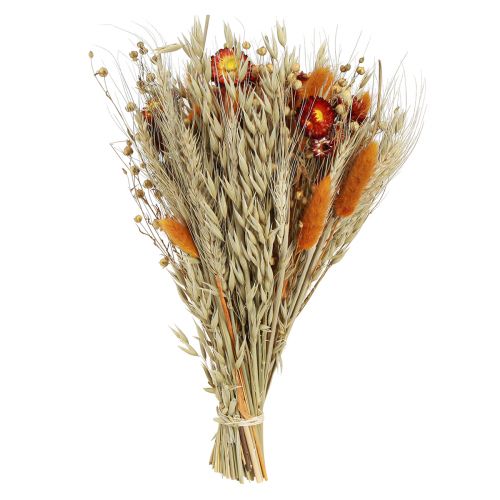 Artículo Flores secas ramo de flores de campo flores de paja naranja L30cm