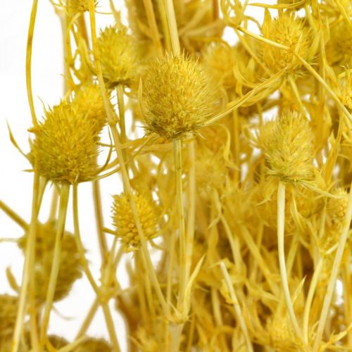 Artículo Flores secas cardo seco amarillo cardo fresa 100g