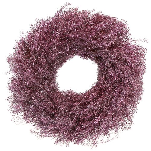 Artículo Corona de flores secas corona metálica violeta Lepidium Ø33cm