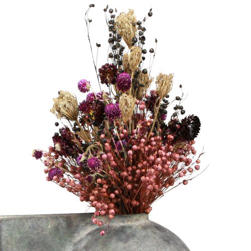 Artículo Flores secas trébol morado flores de paja lino eneldo 35cm 150g