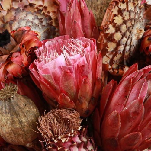 Artículo Mezcla de flores secas protea rosa amapola alcachofa 38cm 580g