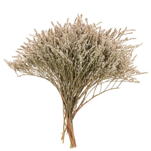 Ramo de flores secas de lavanda de playa Statice nature 1 kg comprar | Floristik24.es