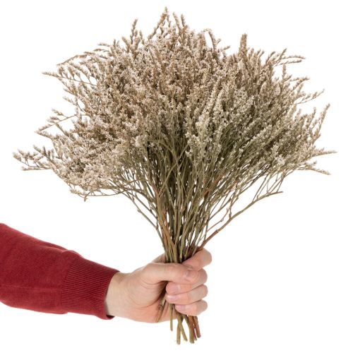Ramo de flores secas de lavanda de playa Statice nature 1 kg | Floristik24.es