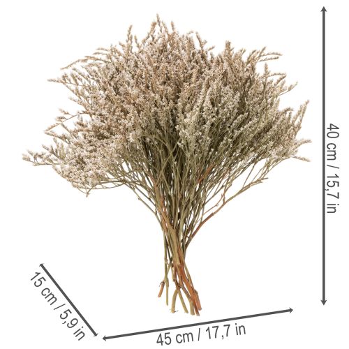 Ramo de flores secas de lavanda de playa Statice nature 1 kg | Floristik24.es