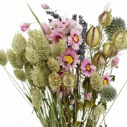 Floristik24 Ramo de hierba silvestre con flores de paja flores secas 70g