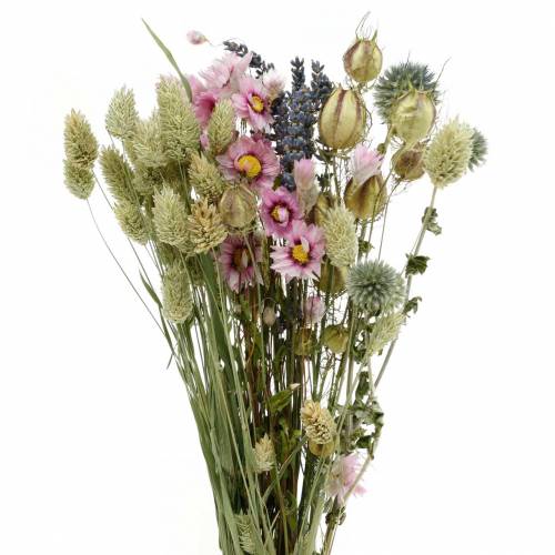 Floristik24 Ramo de hierba silvestre con flores de paja flores secas 70g