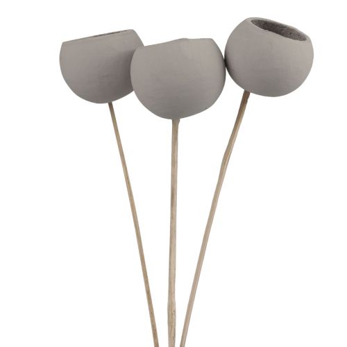 Artículo Campanas decorativas de flores secas con tallo gris 37cm 3 piezas