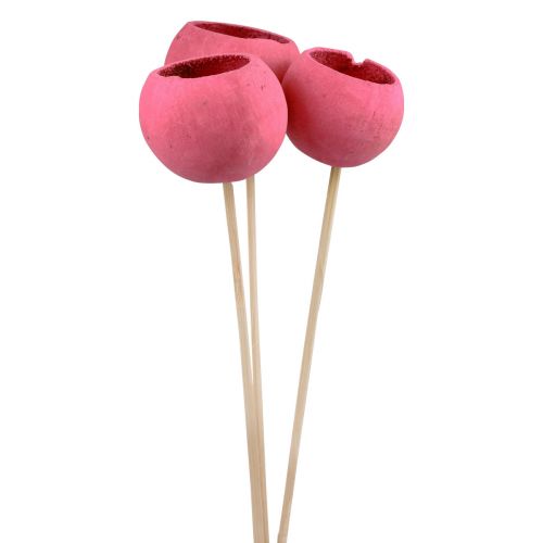Artículo Campanas decorativas de flores secas con tallo rosa 42cm 3 piezas