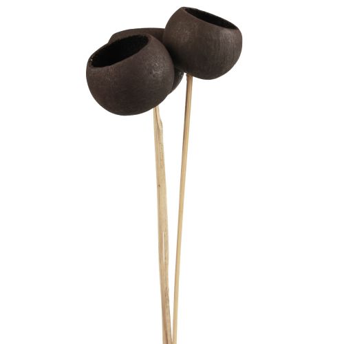 Artículo Campanas decorativas de flores secas con tallo negro 44cm 3 piezas