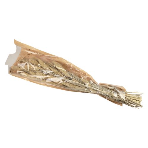 Artículo Flores secas mijo natural Setaria mijo de cerdas H40-60cm 60g