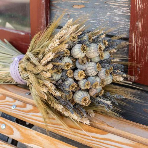 Floristik24 Cápsulas de semillas de amapola secas flores secas naturales manojo deco amapola 90g