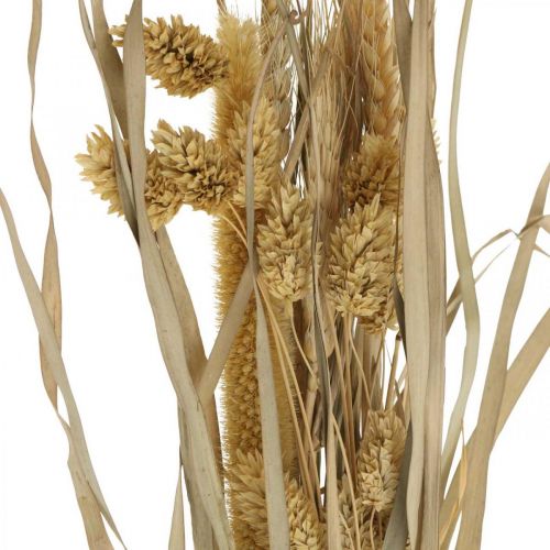 Floristik24 Hierbas secas y cereales naturales en manojo ramo seco 48cm