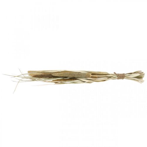 Artículo Floristería seca Grano Manojo de mazorcas de mijo secas 45cm