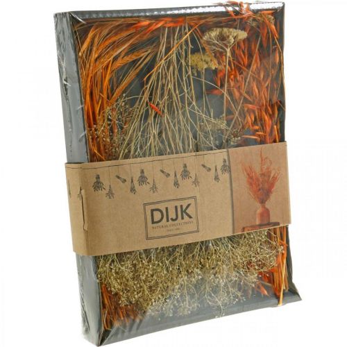 Floristik24 Caja de Flores Secas Conjunto de Floristería Seca Naranja