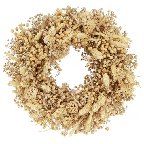 Floristik24 Corona de flores secas corona decorativa blanqueada crema Ø25cm