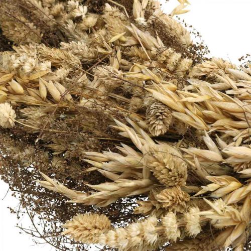 Floristik24 Guirnalda decorativa flores secas grandes cereales y hierba naturaleza Ø50cm