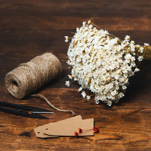 Artículo Ramo de flores secas, delicadas flores para decoración natural del hogar, 44cm