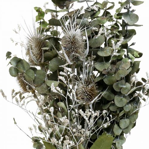 Floristik24 Ramo de flores secas eucalipto ramo de cardos 45-55cm 100g