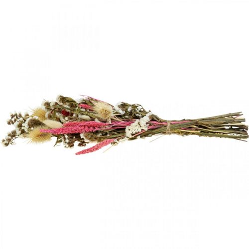 Floristik24 Ramo de flores secas ramo de flores de paja cardo 40–45cm