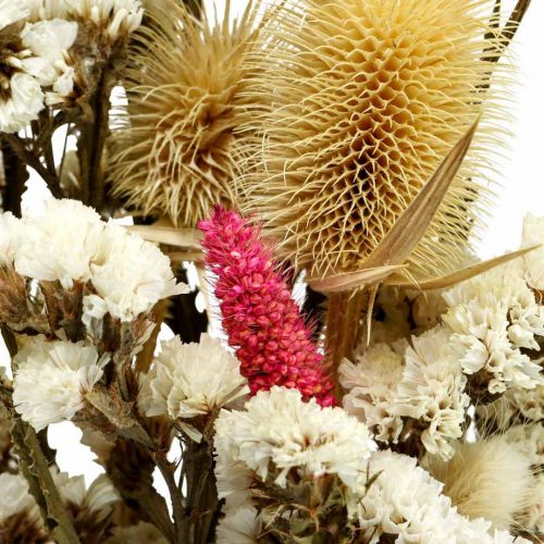 Floristik24 Ramo de flores secas ramo de flores de paja cardo 40–45cm