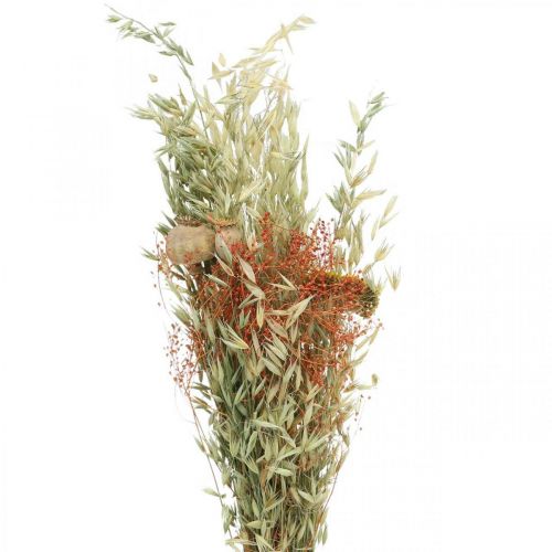 Floristik24 Ramo de flores secas cereales y amapolas decoración seca 60cm 100g