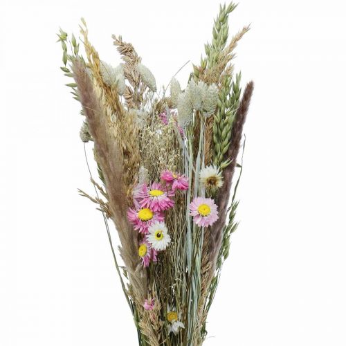 Floristik24 Ramo de flores secas hierba Phalaris flores de paja rosa 60cm 110g