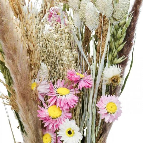 Floristik24 Ramo de flores secas hierba Phalaris flores de paja rosa 60cm 110g