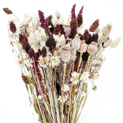 Floristik24 Ramo de flores secas decoración de verano flores secas 58cm