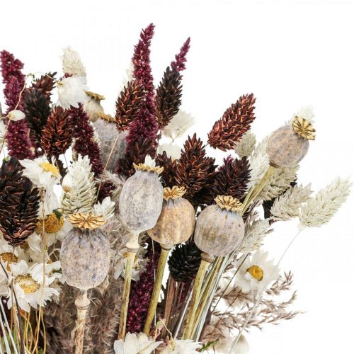 Floristik24 Ramo de flores secas decoración de verano flores secas 58cm