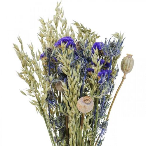 Floristik24 Ramo de flores secas Ramo de flores de pradera azul H50cm 100g