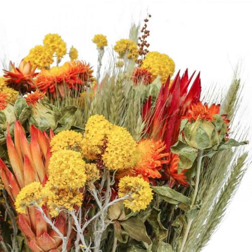 Floristik24 Ramo de flores secas ramo de flores del prado naranja Al.50cm 300g