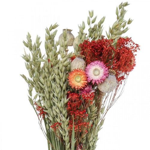 Artículo Ramo de flores secas Ramo de flores de pradera Rojo H50cm 150g