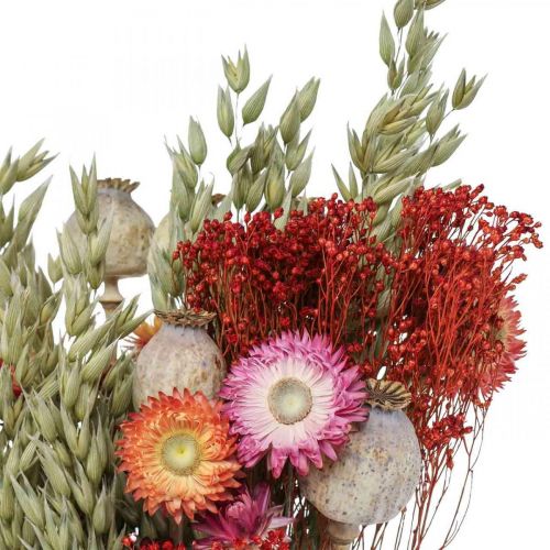 Artículo Ramo de flores secas Ramo de flores de pradera Rojo H50cm 150g