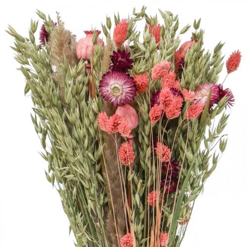 Floristik24 Ramo de flores secas flores de paja grano amapola cápsula Phalaris juncia 55cm