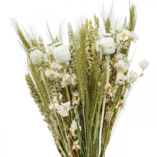 Floristik24 Ramo de flores secas flores de paja grano amapola cápsula hierba seca 50cm