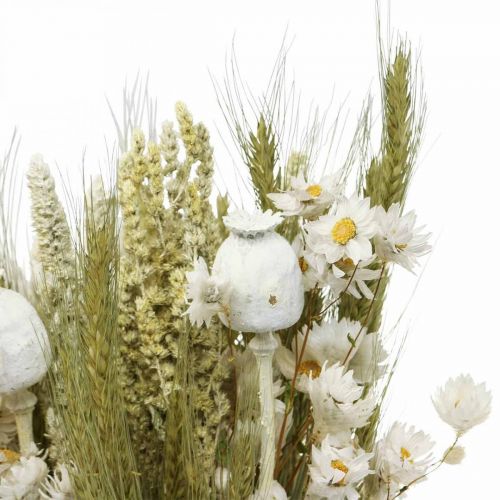 Floristik24 Ramo de flores secas flores de paja grano amapola cápsula hierba seca 50cm