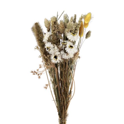 Floristik24 Ramo de flores secas flores de paja Phalaris blanco amarillo 30cm