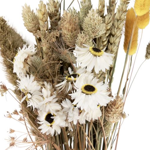 Artículo Ramo de flores secas flores de paja Phalaris blanco amarillo 30cm