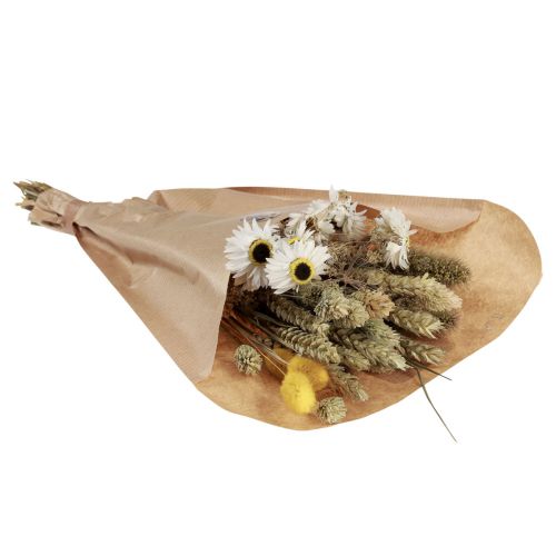Artículo Ramo de flores secas flores de paja Phalaris blanco amarillo 30cm