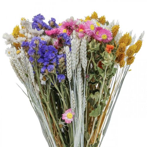 Floristik24 Ramo de flores secas flores de paja playa lavanda Phalaris grano 55cm