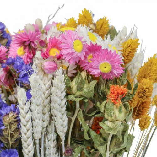 Floristik24 Ramo de flores secas flores de paja playa lavanda Phalaris grano 55cm