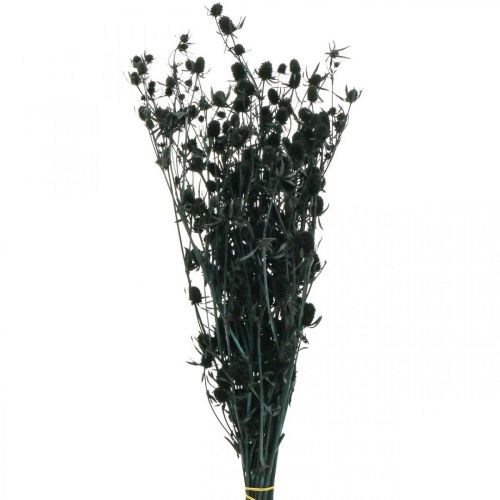 Floristik24 Cardo Seco Cardo Fresa Negro Flores Secas 100g