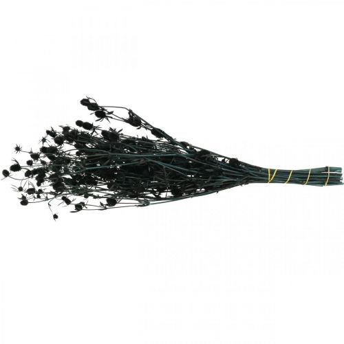 Floristik24 Cardo Seco Cardo Fresa Negro Flores Secas 100g