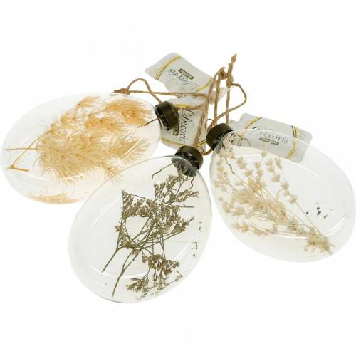 Floristik24 Hierbas secas en un frasco para colgar vidrio decorativo seco de tres colores 3 piezas