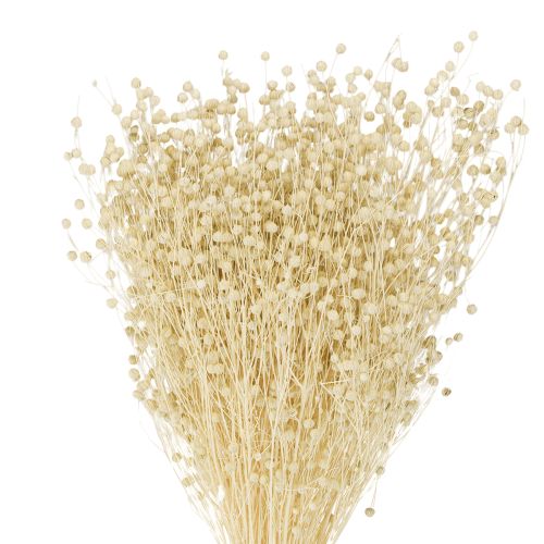 Floristik24 Hierba seca de lino seco natural blanqueado 50-55cm 180g