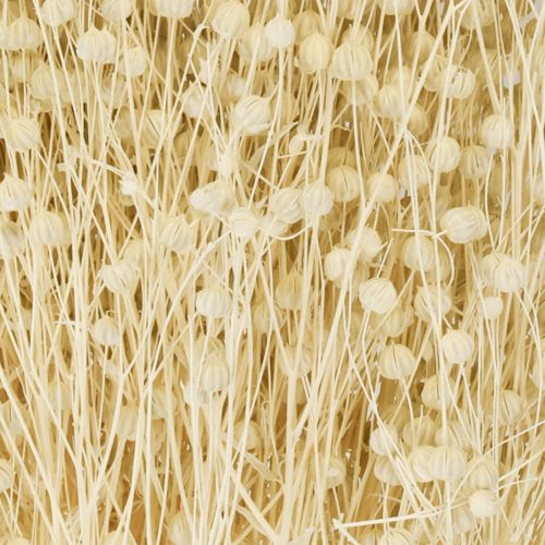 Artículo Hierba seca de lino seco natural blanqueado 50-55cm 180g