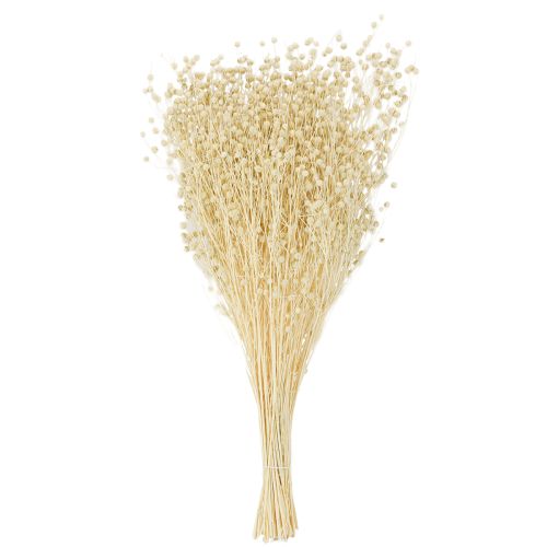 Artículo Hierba seca de lino seco natural blanqueado 50-55cm 180g