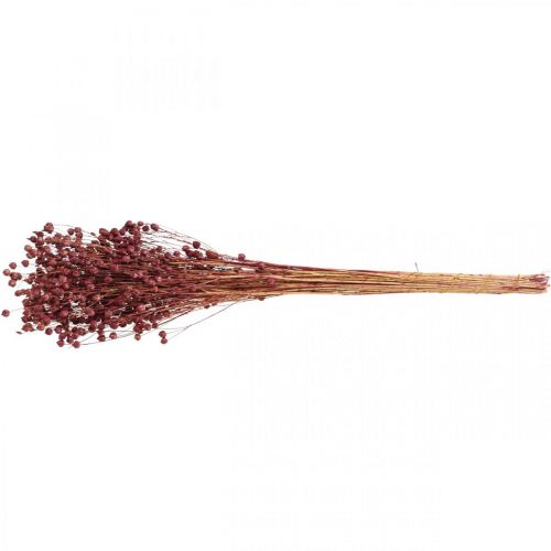 Artículo Hierba Seca Lino Seco Rosa Viejo Al.50–55cm 80g